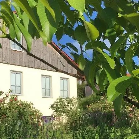 Im Schiller Daire